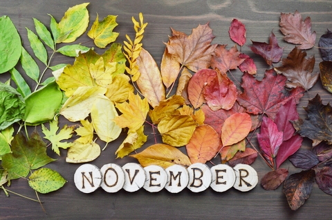 November